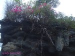 DSC09746