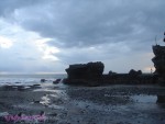 DSC09750