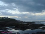 DSC09758