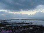 DSC09759