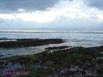 DSC09763