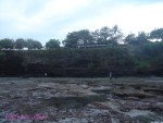 DSC09770