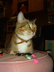DSC03624