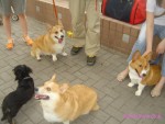 DSC07501