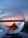 DSC00555