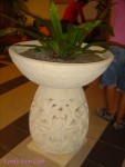 DSC00580
