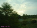 DSC00590
