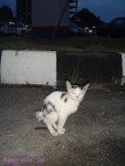 DSC00831