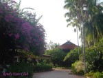 DSC00848
