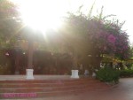DSC00861
