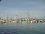 DSC00865
