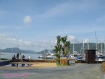 DSC00866