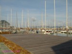 DSC00867