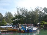 DSC00874