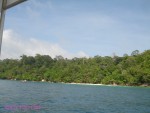 DSC00878