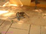 DSC01047