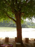 DSC01049