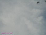 DSC09984