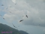 DSC09987