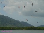 DSC09988