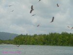 DSC09991