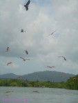 DSC09992