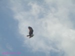 DSC09999