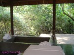 DSC00239