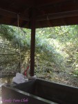 DSC00240