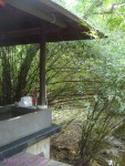 DSC00242