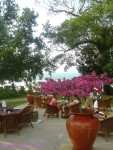 DSC00258