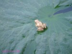 DSC00263