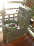 DSC00267