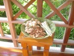 DSC00271