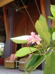 DSC00095