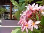 DSC00097