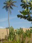 DSC00113