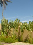 DSC00121