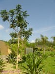 DSC00130