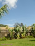 DSC00132