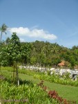 DSC00135