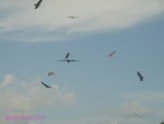 DSC00007