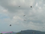 DSC00008