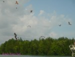 DSC00009