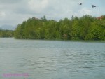 DSC00010