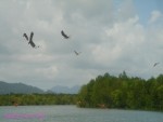 DSC00011