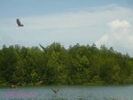 DSC00014
