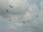 DSC00018