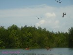 DSC00019