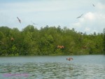 DSC00023